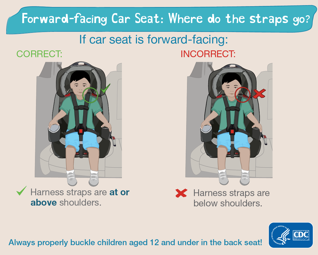 cdc-forward-facing-seat.png