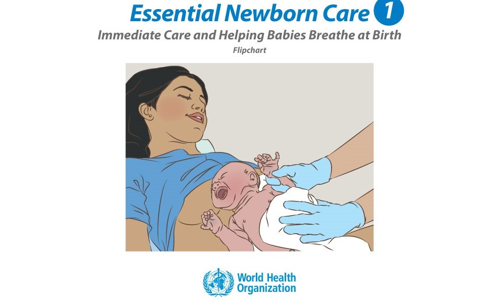 Helping Mothers Survive, Laerdal Global Health