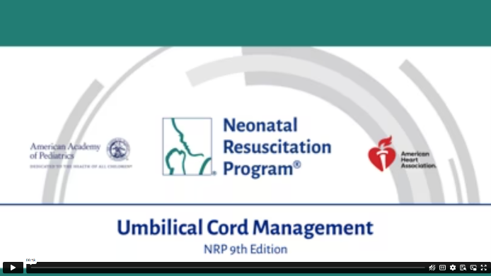 positive pressure ventilation.jpg